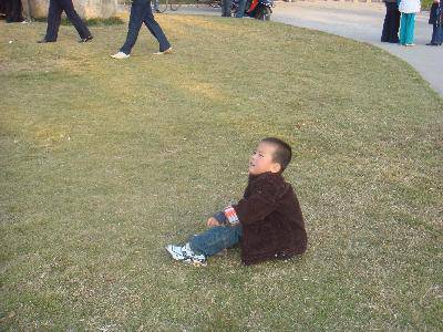 走向大自然,感受早冬的气息作文