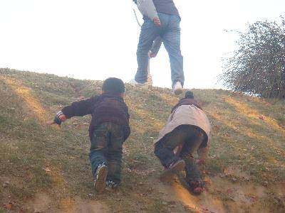 走向大自然,感受早冬的气息作文