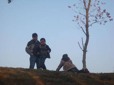 走向大自然,感受早冬的气息作文