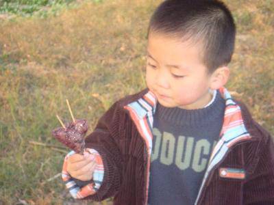 走向大自然,感受早冬的气息作文