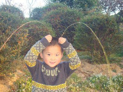 走向大自然,感受早冬的气息作文