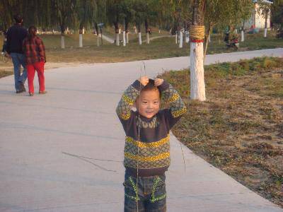 走向大自然,感受早冬的气息作文