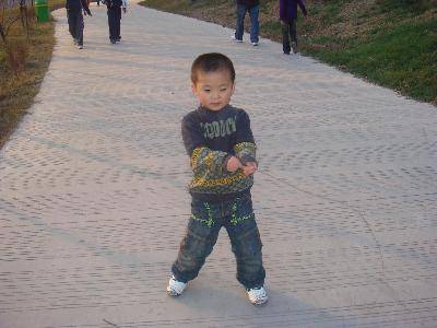 走向大自然,感受早冬的气息作文