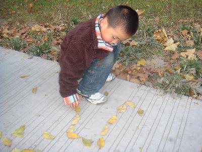 走向大自然,感受早冬的气息作文