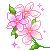 ۺɫС
