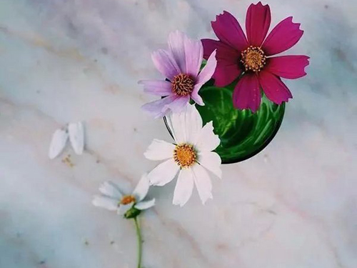 宝宝取名应该这样取!