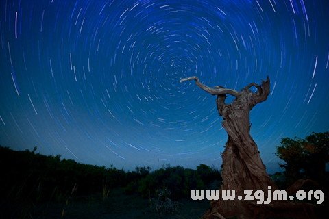 梦见轮回是什么意思