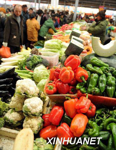 班级共读:“猫”;日有所诵:“认识蔬菜”作文