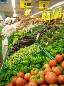 班级共读:“猫”;日有所诵:“认识蔬菜”作文