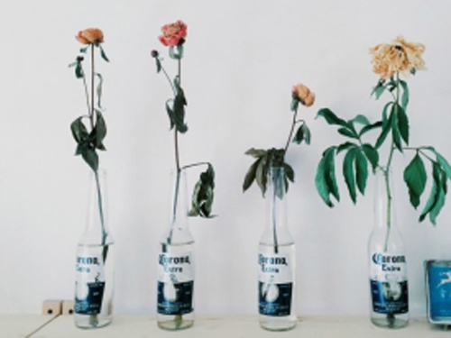 姓名承载丰富的内涵2017