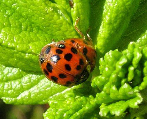 意外的发现【过江龙每日一文之十一】作文