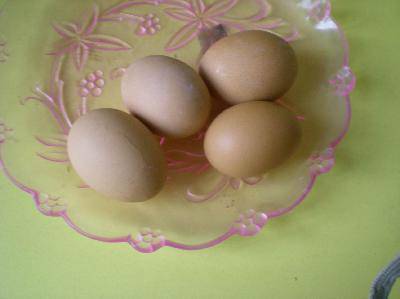 如何区分生鸡蛋和熟鸡蛋?(配图片)作文