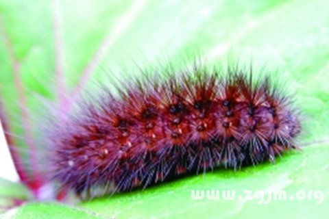 �μ������ʲô��˼