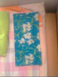 我的新床铺(附图)作文