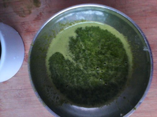 冬至,吃饺子啰作文