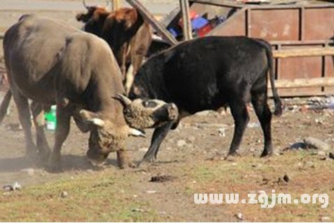 �μ���ͷţ�����ʲô��˼