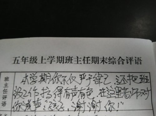 我也来夸夸老师作文