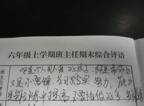 我也来夸夸老师作文