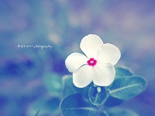 命名首先要选好字义!