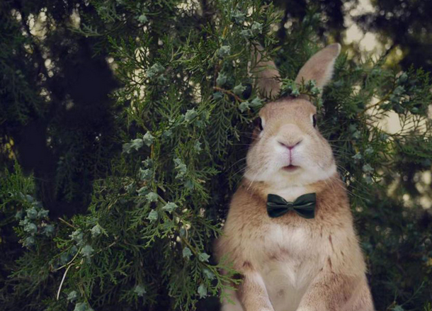 2017年姓名测试“你们之间的缘分”