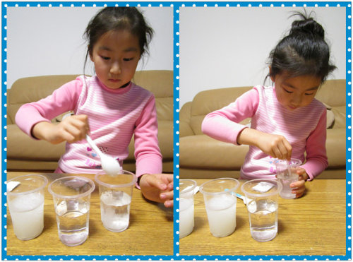 净水小实验作文