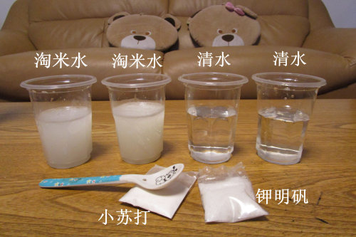 净水小实验作文