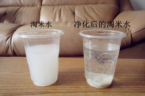 净水小实验作文