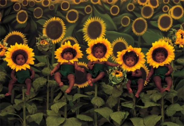 最新出炉的乔姓宝宝名字