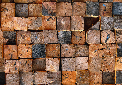 2017最热门的“木”字旁名字大全