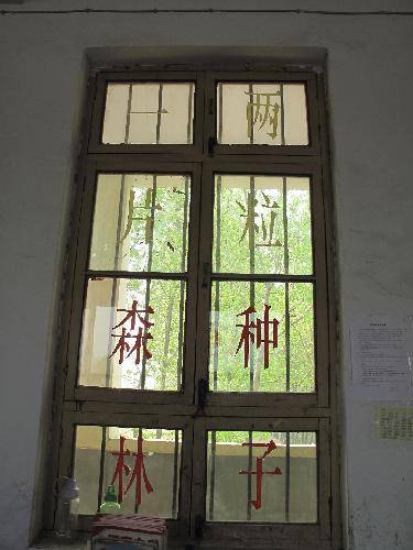 我们班的文化窗作文