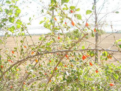 我郊游,我收获;我野炊,我快乐 ——小记第八期家庭联合读书活动(附照片)作文