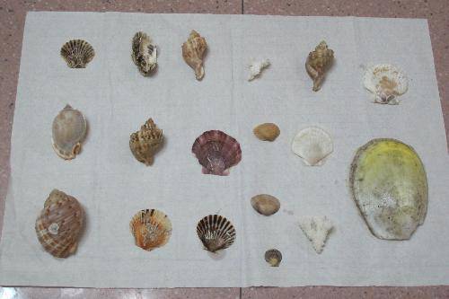 考前减压小巴扎作文