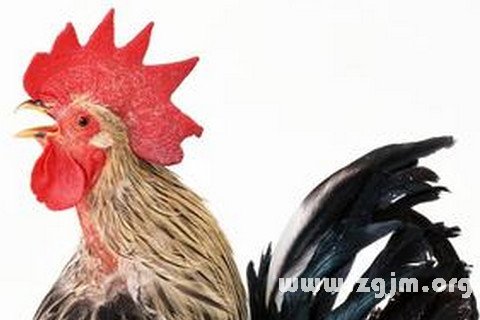 μлʲô˼