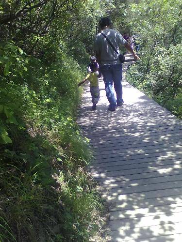 我喜欢我爸爸作文