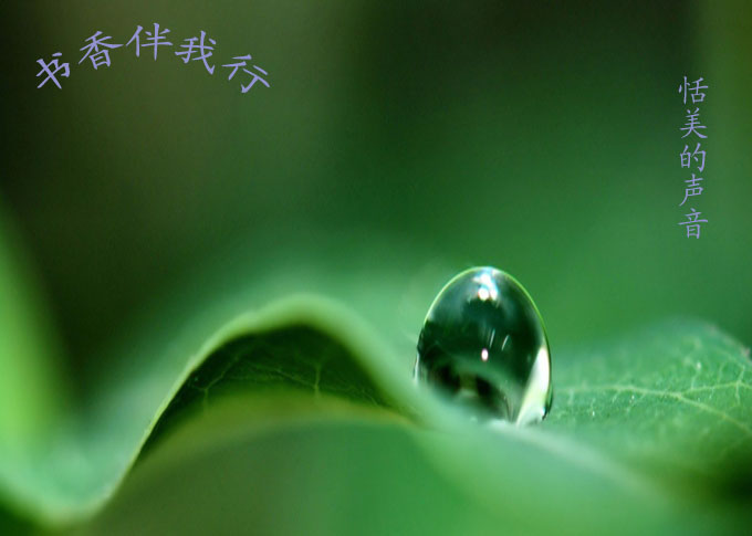 【蜗牛班作业】续写《灰雀》作文