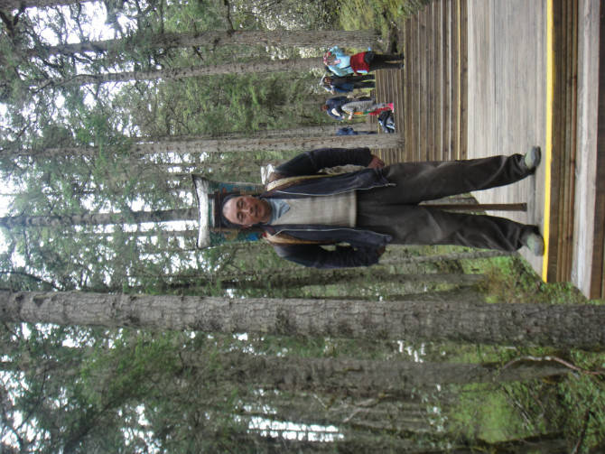 四川旅游之黄龙美景作文