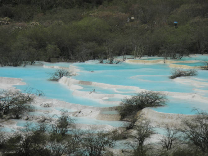 四川旅游之黄龙美景作文
