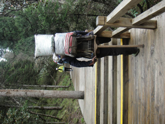 四川旅游之黄龙美景作文