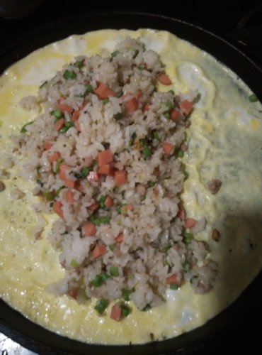 【酷我魔法】自制蛋包饭作文