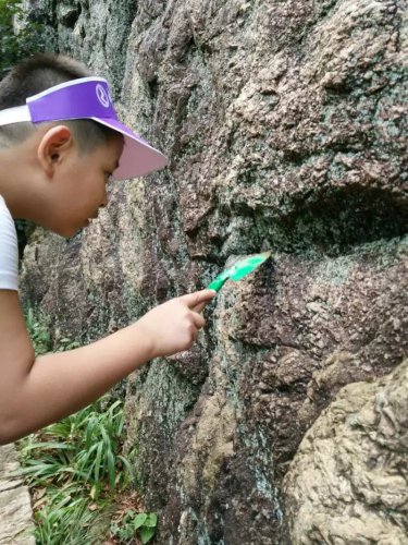 老君山游记【妈咪在线】作文