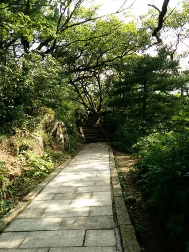 老君山游记【妈咪在线】作文