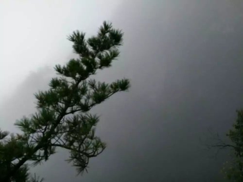 老君山游记【妈咪在线】作文