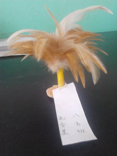 美在创意手工作文