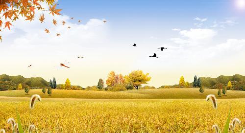 记忆中的秋天美食(文苑征文)作文