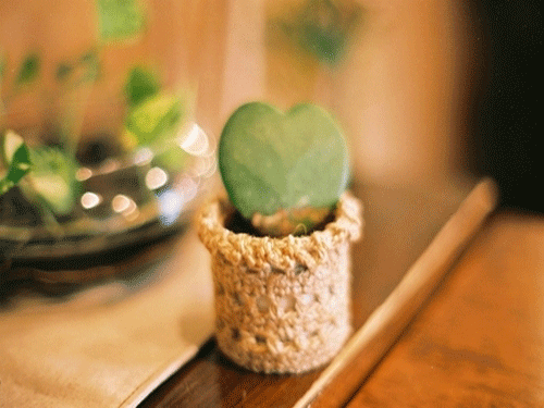 成人改名有没有用的呢,能不能起作用