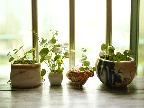 成人改名有没有用的呢,能不能起作用