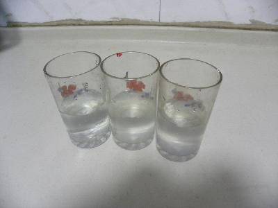 ѧݣϴѧ