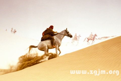 �μ�����������ʲô��˼