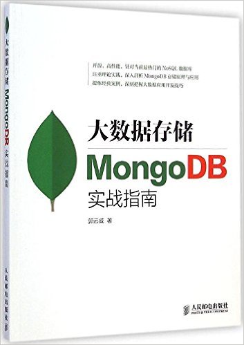 大数据存储:MongoDB实战指南
