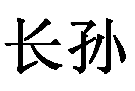 2017年“长孙”宝宝好名字